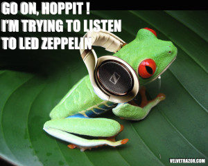 Led Zepp Frog